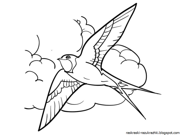 Ласточка шаблон