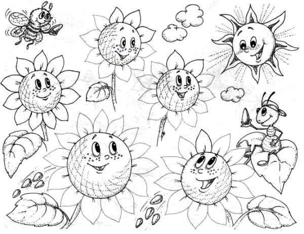Подсолнух. Раскраска