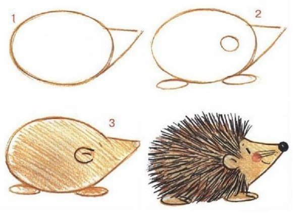 Ежик раскраска для малышей