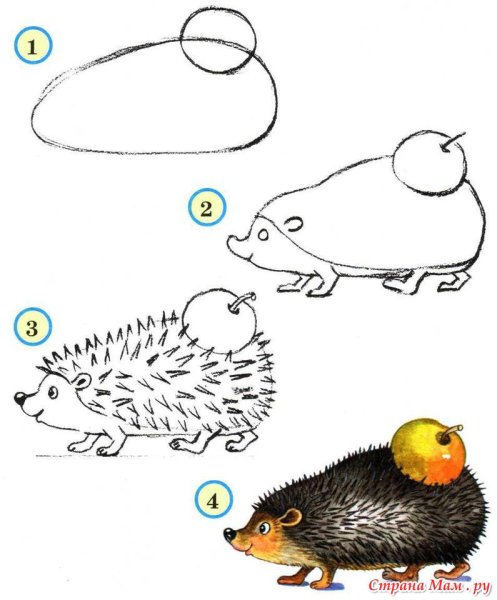 Нарисовать ежика