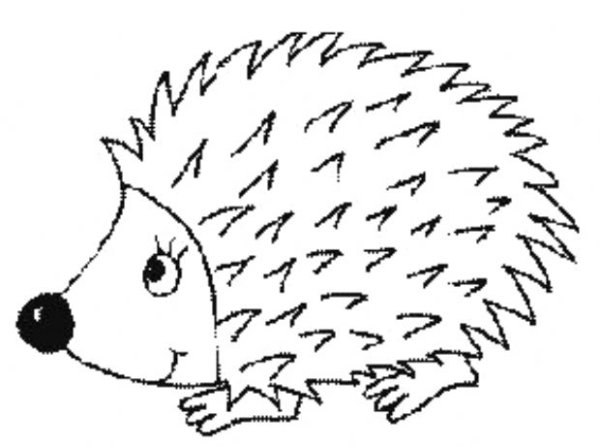 Ежик эскиз