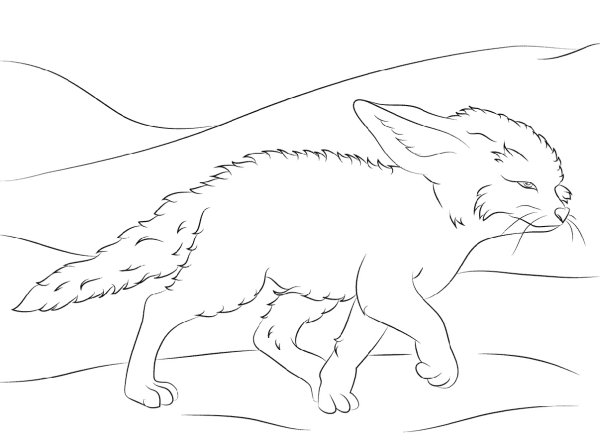 Фенек раскраска