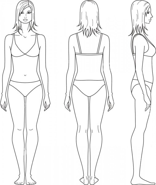 Фигуры полных женщин зарисовки