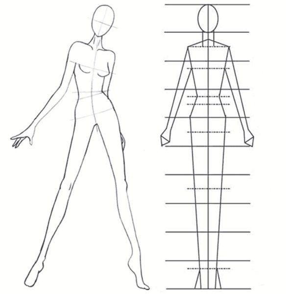 Силуэт женской фигуры