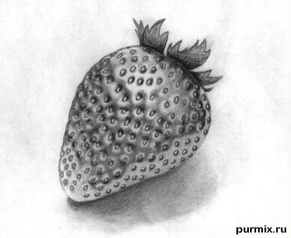 Клубника рисунок карандашом
