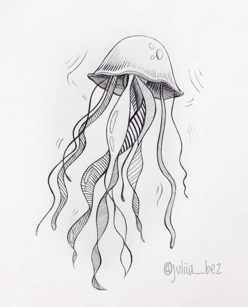 Нарисовать медузу карандашом