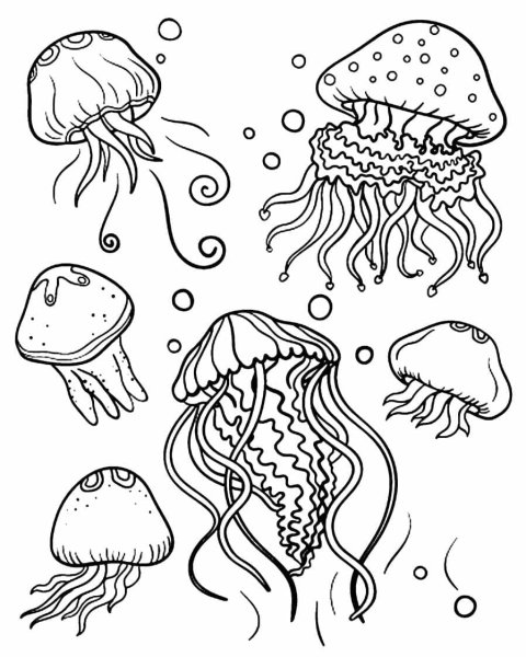 Морские обитатели медуза раскраска
