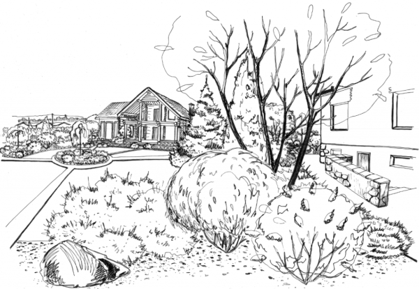 Ландшафтные зарисовки