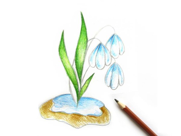 Подснежники рисунок