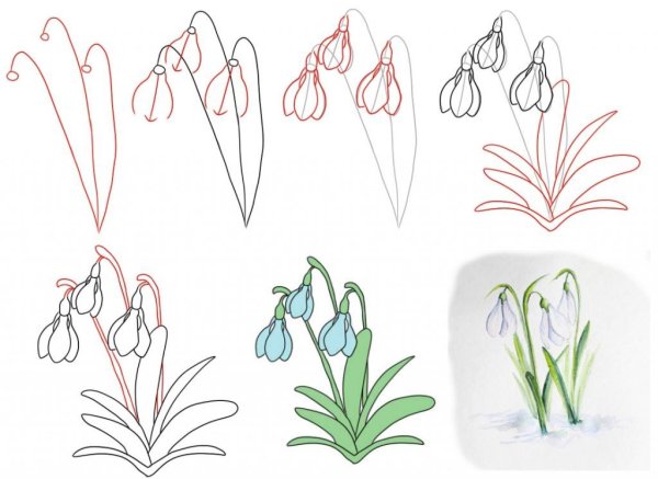 Подснежники рисунок