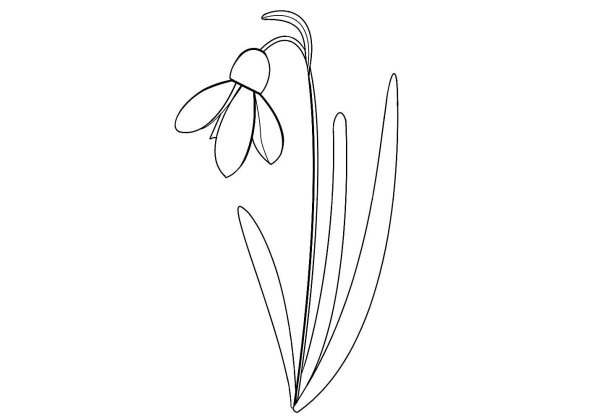 Подснежники рисунок легкий