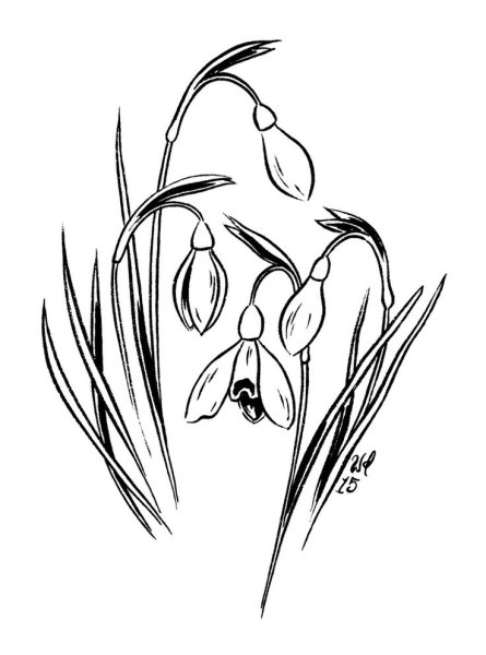 Тату Подснежник эскизы