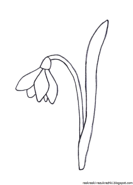 Подснежники раскраска для детей