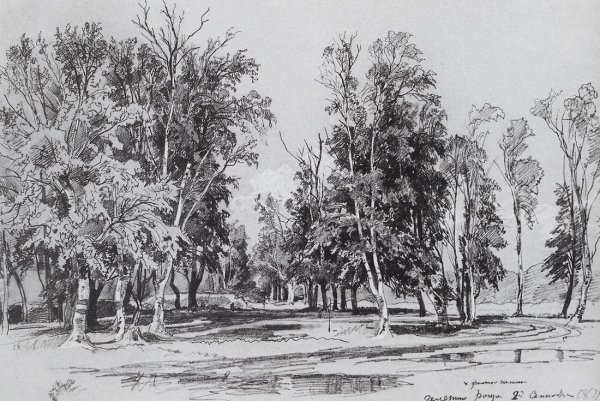 Иван Иванович Шишкин картины Графика