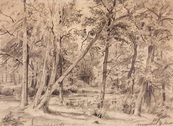 Шишкин Иван Иванович Наброски