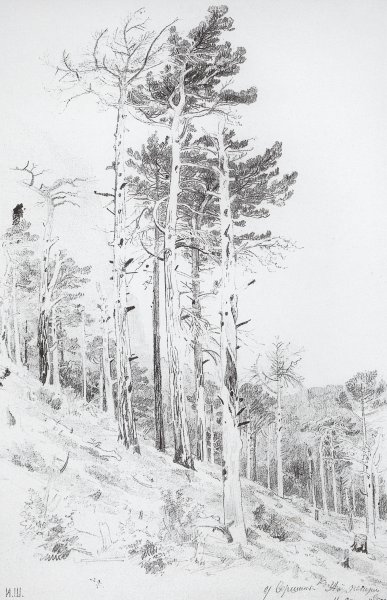 Зарисовки Ивана Шишкина