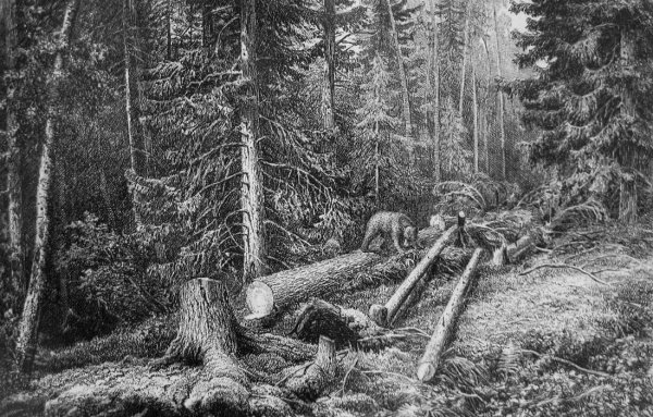 Шишкин Иван Иванович офорты