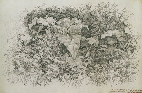 Лагода-Шишкина Ольга Антоновна картины