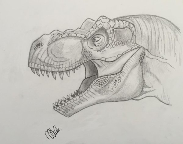 Динозавр рисунок карандашом