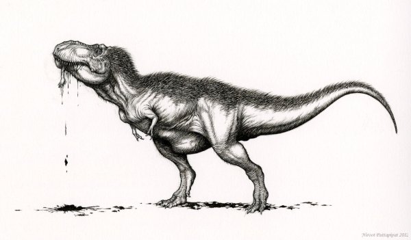 Тираннозавр рекс черно белый
