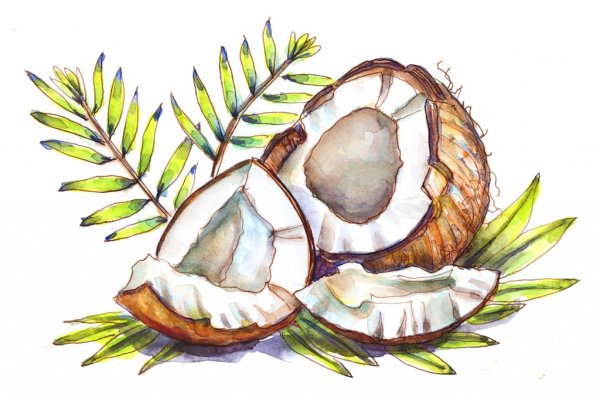 Кокос рисунок