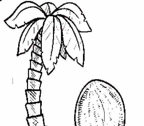 Кокос раскраска для детей