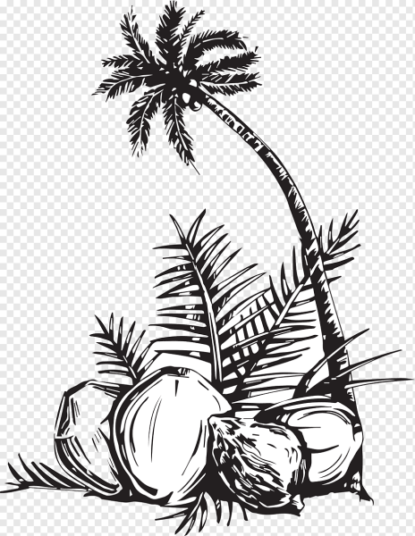 Кокос раскраска