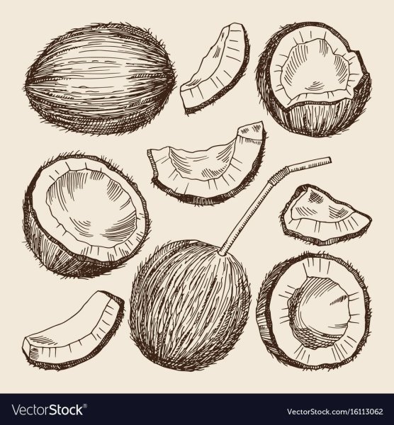 Кокос карандашом