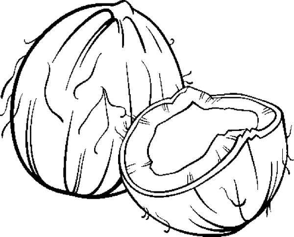 Кокос раскраска для детей