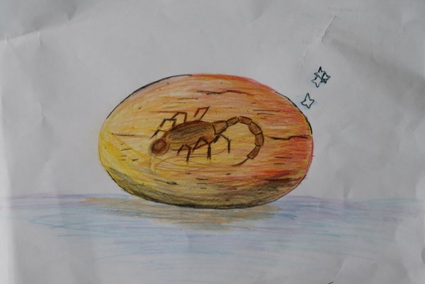 Я люблю янтарь конкурс 2021