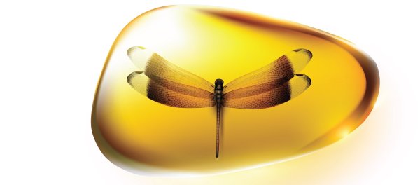 Янтарь карандашом