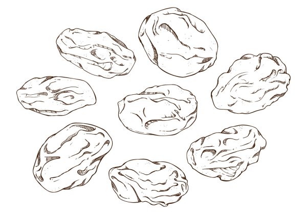 Сухофрукты раскраска