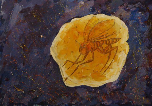 Янтарь рисунок