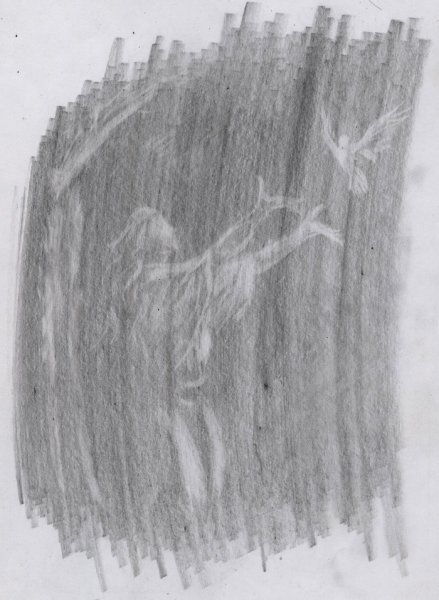 Рисование ластиком