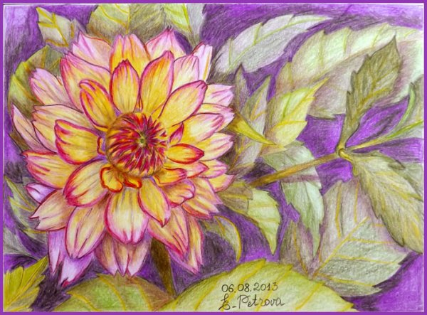 Букет роз цветными карандашами