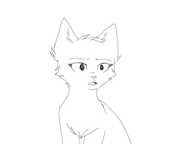 Коты Воители срисовать