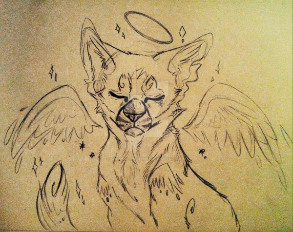 Скетчи котов воителей