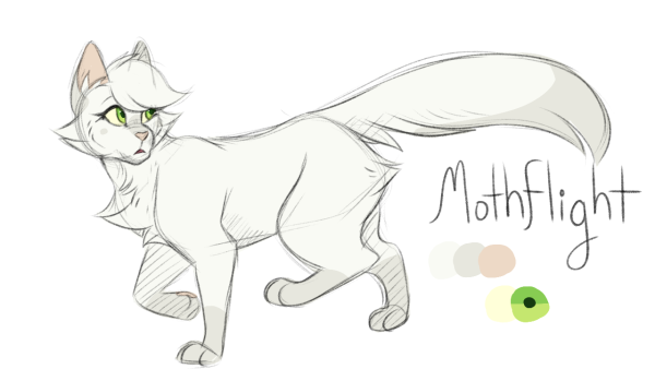 Коты Воители Наброски