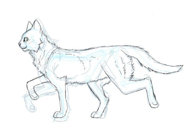 Коты Воители срисовать