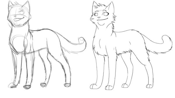 Коты Воители лайн карандашом
