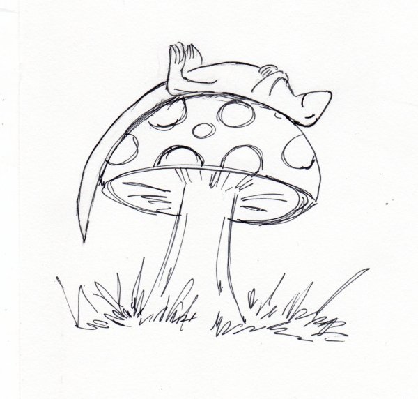 Нарисовать гриб мухомор карандашом поэтапно