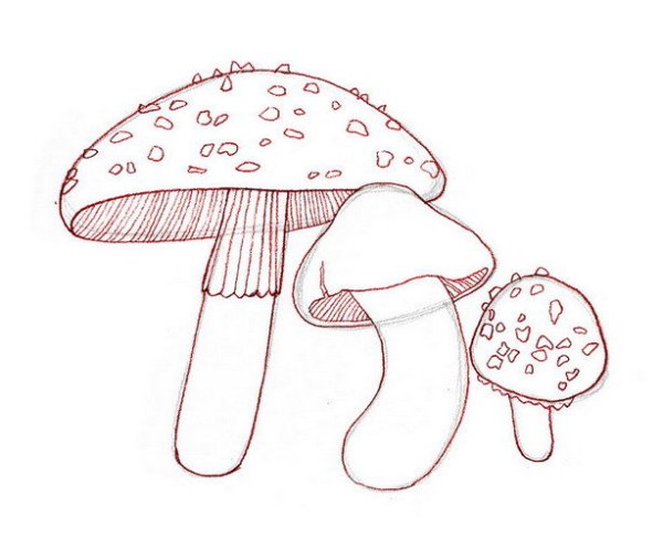 Как рисовать мухомор