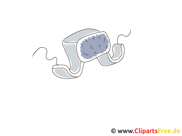 Раскраска шуба