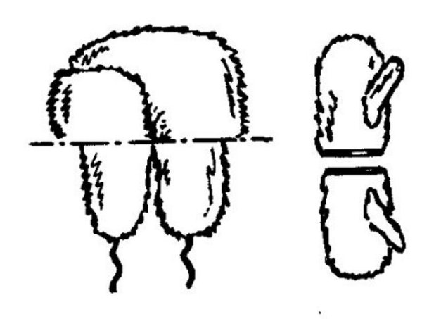 Шапка ушанка пилот выкройка