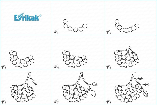 Рисование листьев рябины