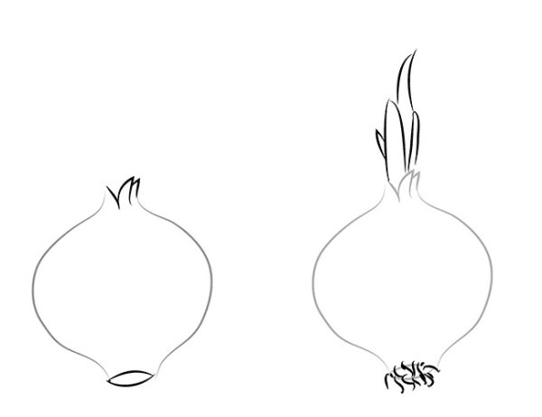 Нарисовать лук карандашом