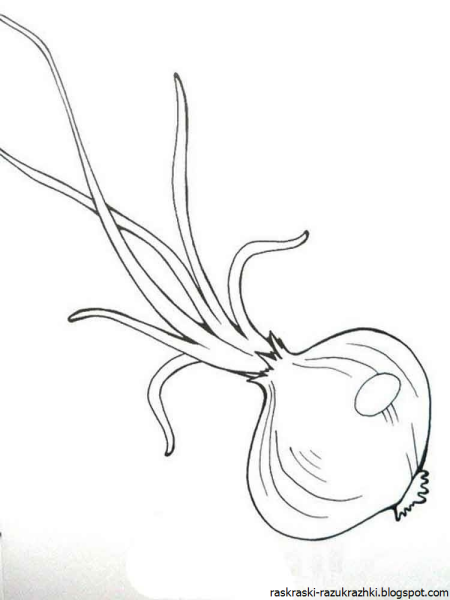 Лук раскраска