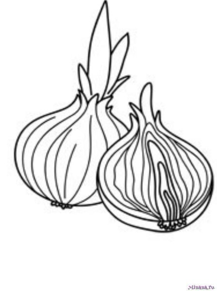 Лук раскраска