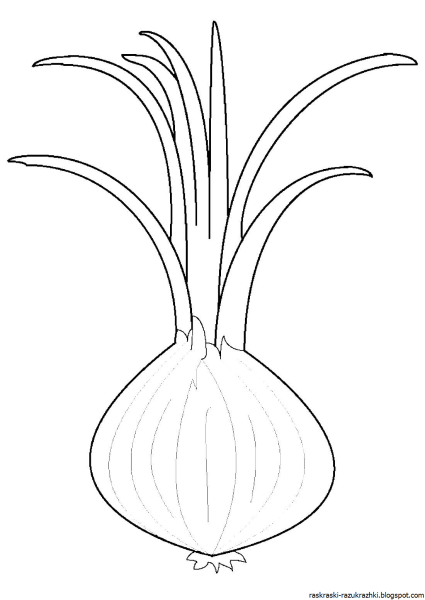 Раскраска лука для детей