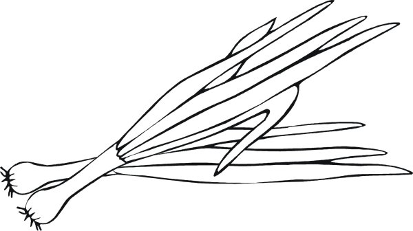 Лук раскраска для детей